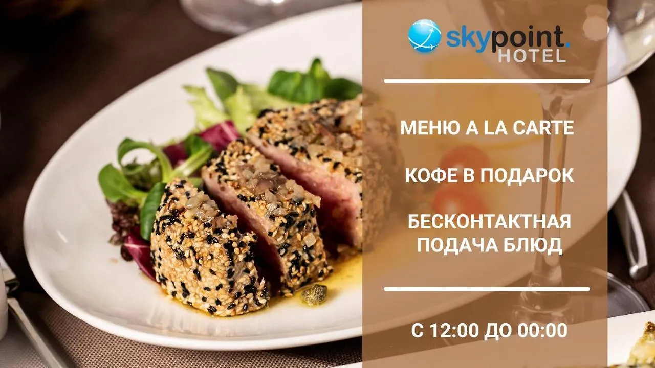 Skypoint Hotel Sheremetyevo Airport Moscow